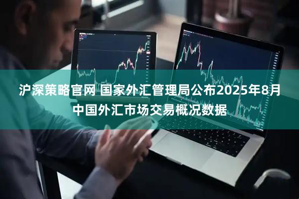 沪深策略官网 国家外汇管理局公布2025年8月中国外汇市场交易概况数据